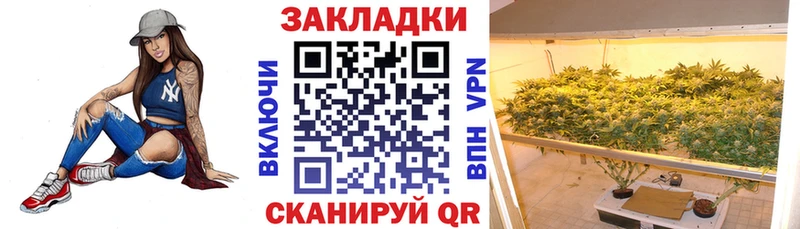 Где купить наркотики Пудож МЕТАМФЕТАМИН Мефедрон СК ГАШ OMG сайт Амфетамин Конопля
