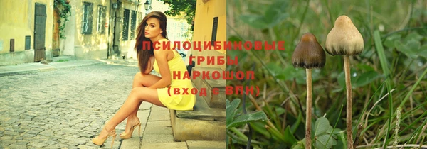 меф Няндома