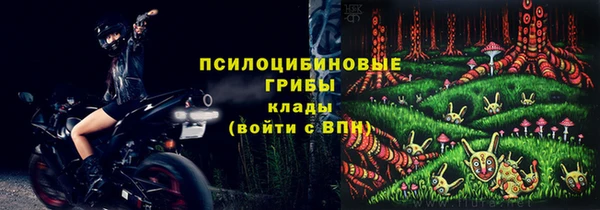 меф Няндома